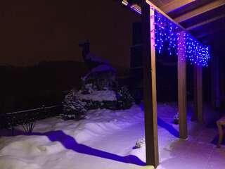 Отели типа «постель и завтрак» Grand Canyon Каменец-Подольский-1